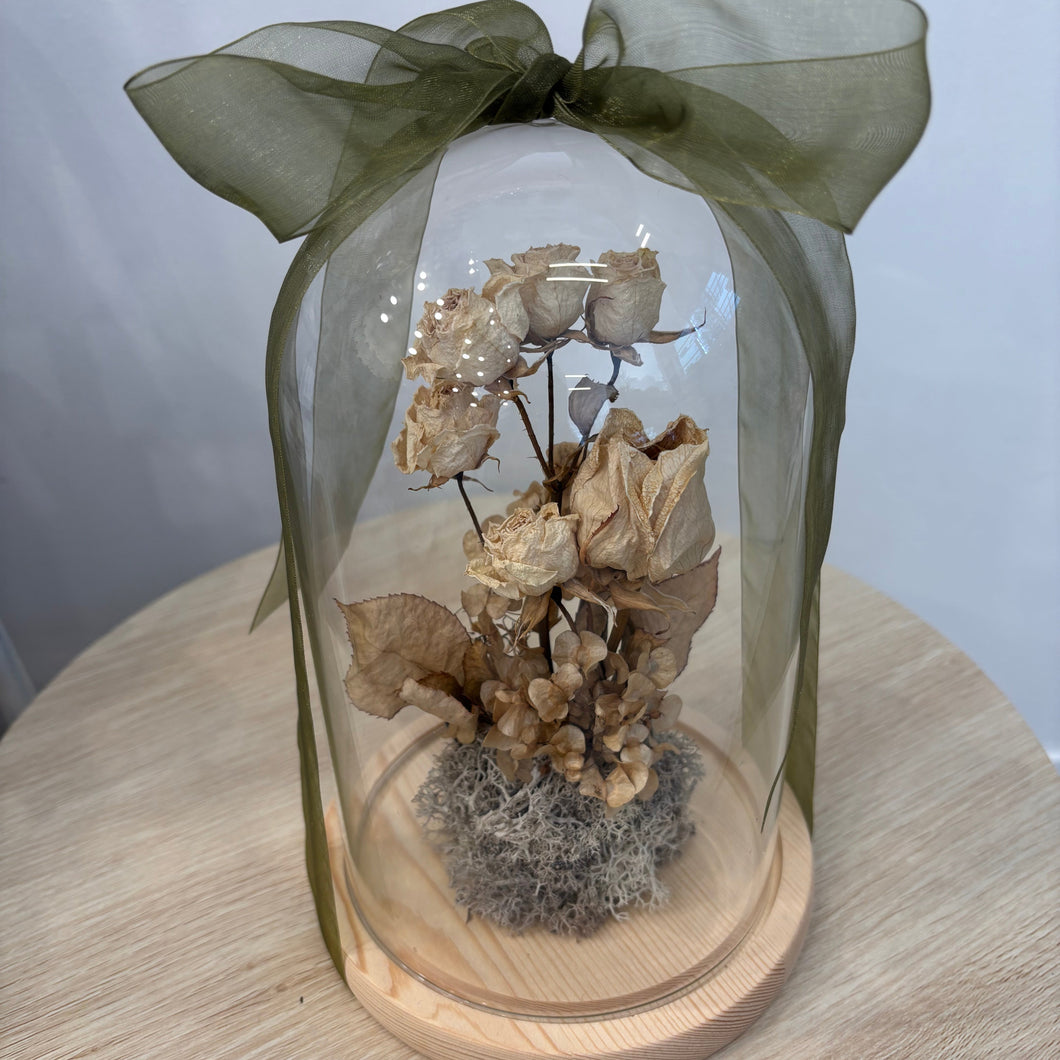 Secret Rose Garden Dome XL