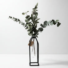 Load image into Gallery viewer, Simple the best - Eucalyptus
