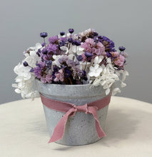 Load image into Gallery viewer, Midnight Bloom - Tiny Pot

