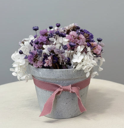 Midnight Bloom - Tiny Pot