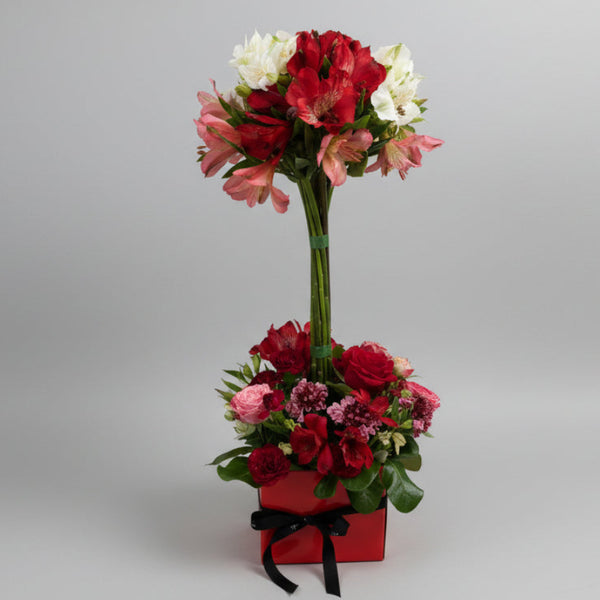 Alstroemeria Topiary
