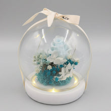 Load image into Gallery viewer, White &amp; Blue Round Dome with lights
