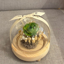 Load image into Gallery viewer, Adorable flower Glass Dome with Seed Lights
