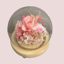 Load image into Gallery viewer, Pink Rose Glass Dome with Seed Lights
