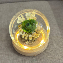 Load image into Gallery viewer, Adorable flower Glass Dome with Seed Lights
