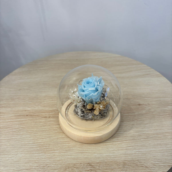 Eternal Single Rose - Glass Flower Dome