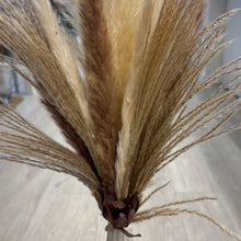 Load image into Gallery viewer, Cream &amp; Toffee Pampas Vase Arrangement
