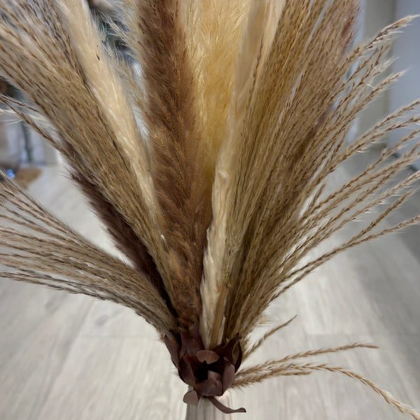 Cream & Toffee Pampas Vase Arrangement