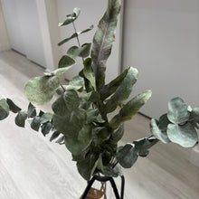 Load image into Gallery viewer, Simple the best - Eucalyptus
