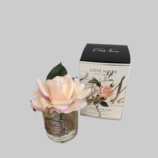 Cote Noire - Single Rose- Champagne Pink -GMR15