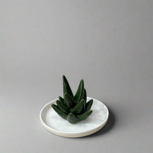 Load image into Gallery viewer, Cactus Ceramic Jewellery Plate
