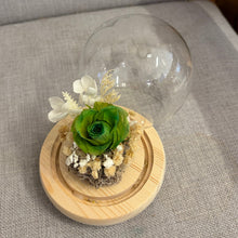 Load image into Gallery viewer, Adorable flower Glass Dome with Seed Lights
