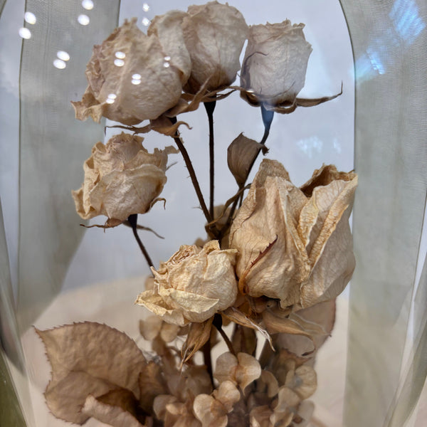 Secret Rose Garden Dome XL
