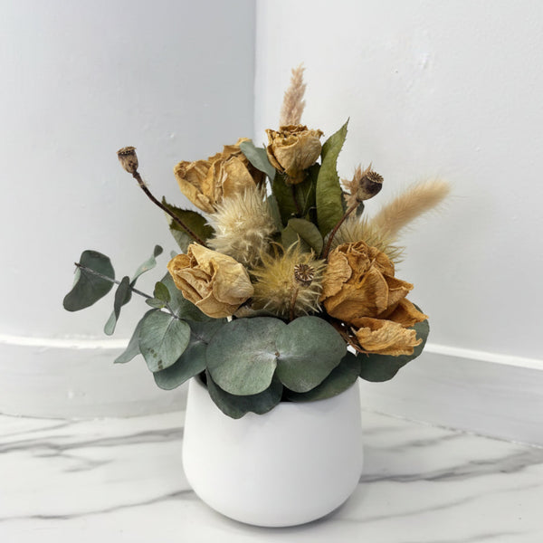 Dried Eucalyptus & Rose Mini Pot