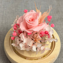 Load image into Gallery viewer, Pink Rose Glass Dome with Seed Lights
