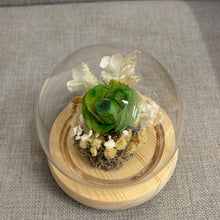 Load image into Gallery viewer, Adorable flower Glass Dome with Seed Lights
