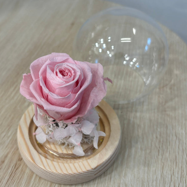 Miniature Flower Dome - Eternal Rose with Seed Lights