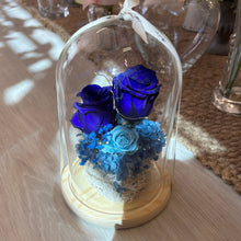 Load image into Gallery viewer, Glass Dome- Lapis Blue Velvet (XL) with seed lights
