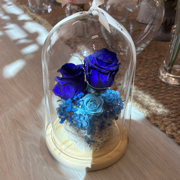 Lapis Blue Velvet Dome XL - with seed lights