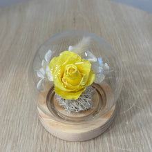 Load image into Gallery viewer, Miniature Flower Dome - Eternal Rose with Seed Lights
