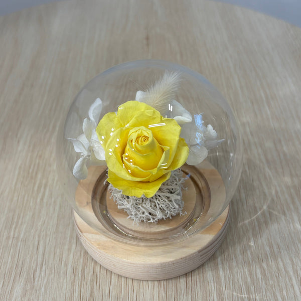 Miniature Flower Dome - Eternal Rose with Seed Lights