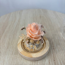 Load image into Gallery viewer, Miniature Flower Dome - Eternal Rose with Seed Lights
