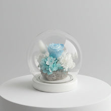 Load image into Gallery viewer, White &amp; Blue Round Dome with lights
