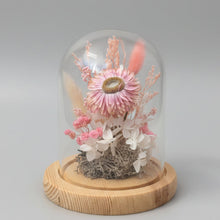 Load image into Gallery viewer, Blush Rice flower - Baby Dome
