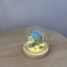 Load image into Gallery viewer, Eternal Single Rose - Glass Flower Dome
