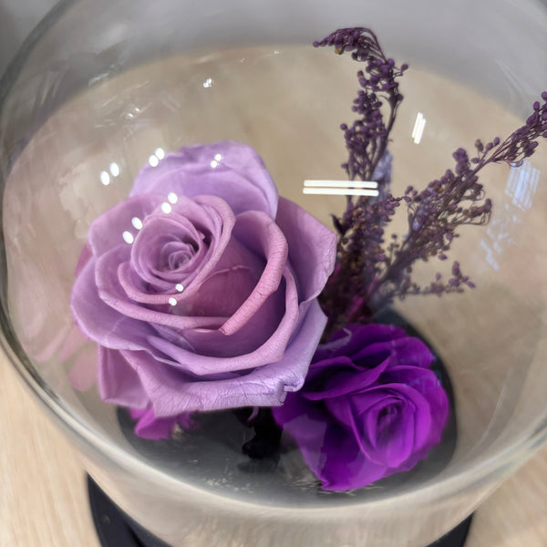 Garden Violet Dome
