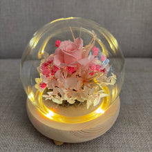 Load image into Gallery viewer, Pink Rose Glass Dome with Seed Lights
