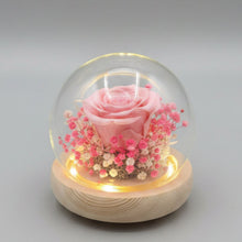 Load image into Gallery viewer, Pink Rose Glass Dome with Seed Lights
