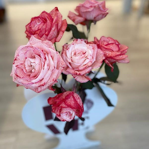 Red Speckled Roses - Half Dozen