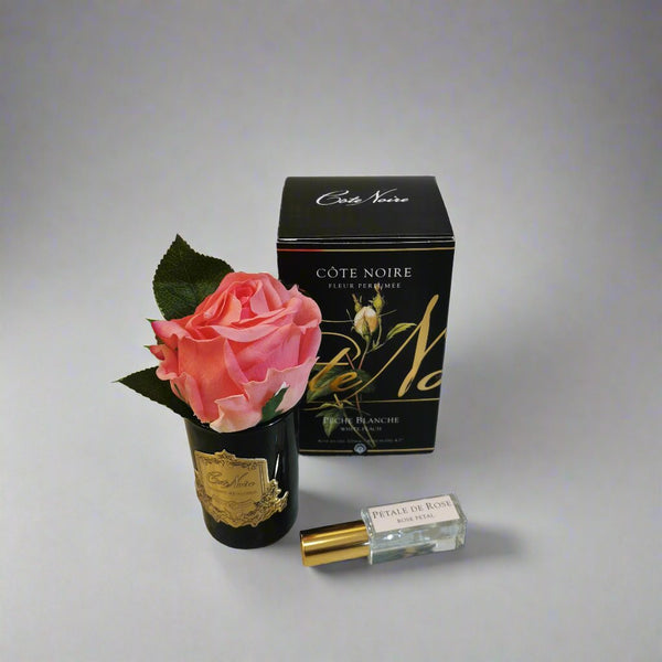 Côte Noire Perfumed Natural Touch Rose Bud - Black - White Peach - GMRB45