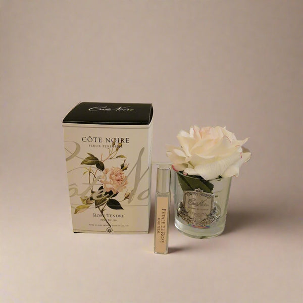 Côte Noire Perfumed Natural Touch Single Rose - Clear - Pink Blush - GMR02