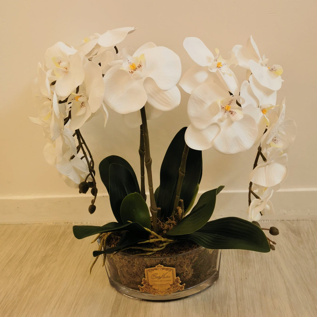 ORCHID BOUQUET - IVORY WHITE & GOLD BADGE - OOV01