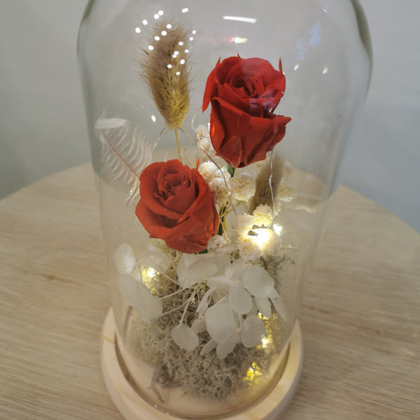 Romance Dome
