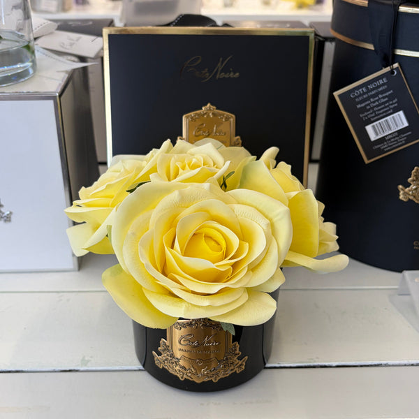 Cote Noire - 5 Roses - Yellow -  Black - GMRB68