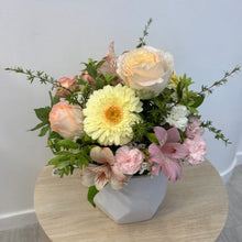 Load image into Gallery viewer, Florist Choice Posie in white Ceramic Pot
