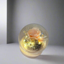 Load image into Gallery viewer, Eternal Single Rose Dome - With Seed Lights
