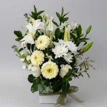 Load image into Gallery viewer, Serenity
