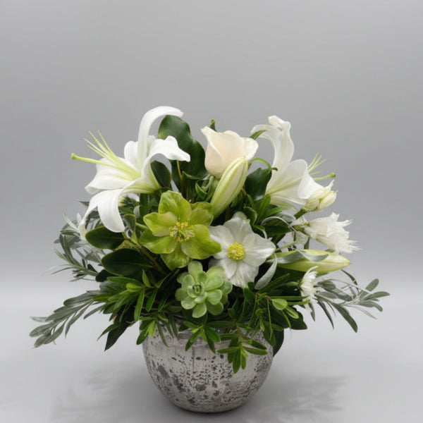 Eternal Grace  - Stone Pot Arrangement