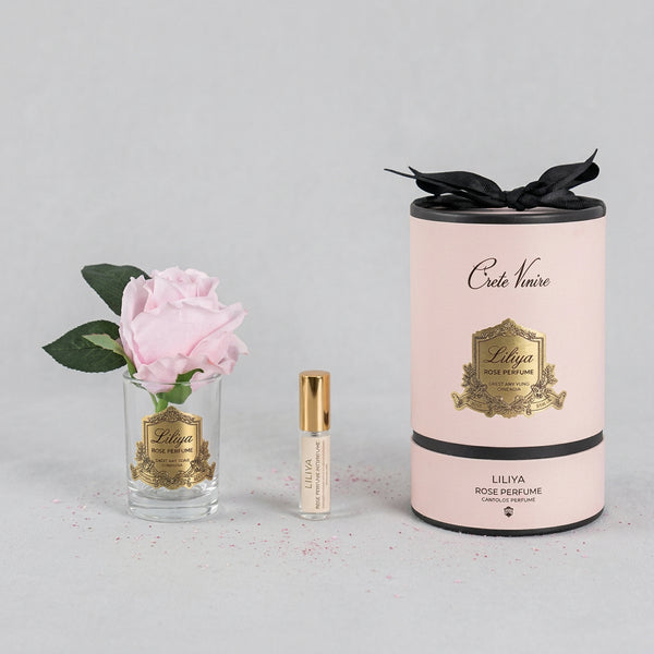 Cote Noire Rose Bud - French Pink Box - RMR46