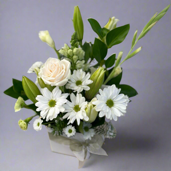 Posies Box Arrangement- White and Green