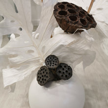 Load image into Gallery viewer, Blanc - Monstera Arrangement

