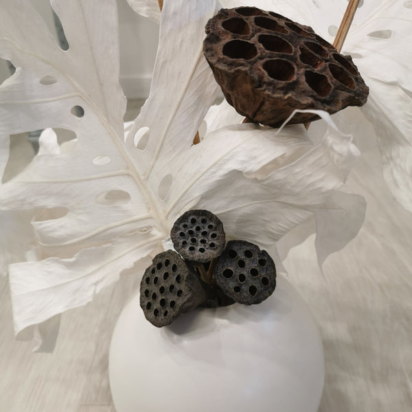 Blanc - Monstera Arrangement