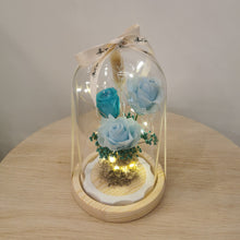 Load image into Gallery viewer, Sky Blue Dome
