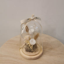 Load image into Gallery viewer, Glass Domes- Creamy
